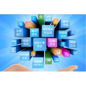 網站建設與運營 從著陸頁設計到持續發展